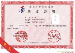 网络教育前景广阔，嘉渡教育咨询上海ebdoor启航发展新篇章